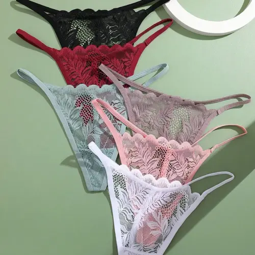 Women's Scallop Trim Lace Sexy Thong, Sheer Breathable Sexy Knicker, Ladies Underwear for All Seasons
