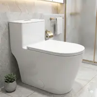Forious 1-Piece Elongated Dual-Flush Modern Toilet, 1.1/1.6 GPF Siphon Flushing, 12 in Rough-In, 16.125 in Comfort Standard Height, Quiet Soft-Close Seat, Fully Skirted Easy-Clean Design,home essentials homeessentials