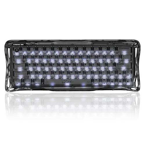 GravaStar Mercury V60 Onyx Crystal Mechanical Gaming Keyboard - Magnetic, 8000Hz Polling Rate, Hall Effect Switches, Rapid Trigger, 0.005mm Precision, Hot-Swappable, RGB Backlit, Wired, Gamer Stuff,back to school,back to school shopping