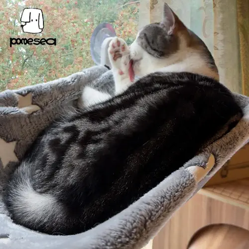 POMESEA Modern Star Cat Window Perch - Hook Design, Glow-in-the-Dark Sunbathing Spot, Foldable Seat with Double-Sided Fabric Cover, Secure Suction Base, Suction-Mounted for Large Cats (Plastic, Nylon, Metal, Steel Components)