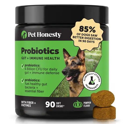 Pet Honesty Probiotics Gut + Immune Health with Prebiotics & Enzymes Pumpkin Flavored Soft Chews Digestive Supplement for Dogs, 90 count