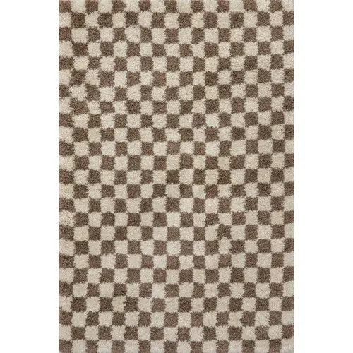 Adelaide Mid-Century Checkerboard Shag Rectangle Area Rug, Machine-Washable Polypropylene Rug for Bedroom, House Decor for Home Floors, Rugs For Bedroom