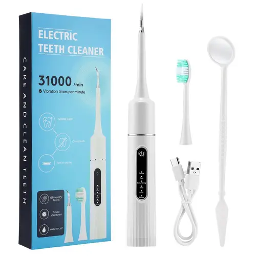 6-speed Adjustment Electric Toothbrush with Replacement Brush Head, 1 Set Waterproof Type C Charging Cordless Teeth Cleansing Deep Cleansing Protecting Gums Toothbrushes for Adults, Teeth Cleaner, Toothbrush Kit, Teeth Cleaning Tool