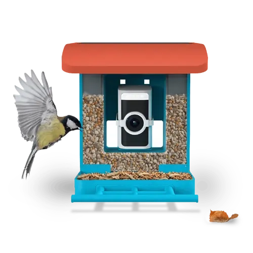 Wyze Bird Feeder with HD Camera — View & Record Live Video of Feathered Visitors with Your Favorite Wyze Camera