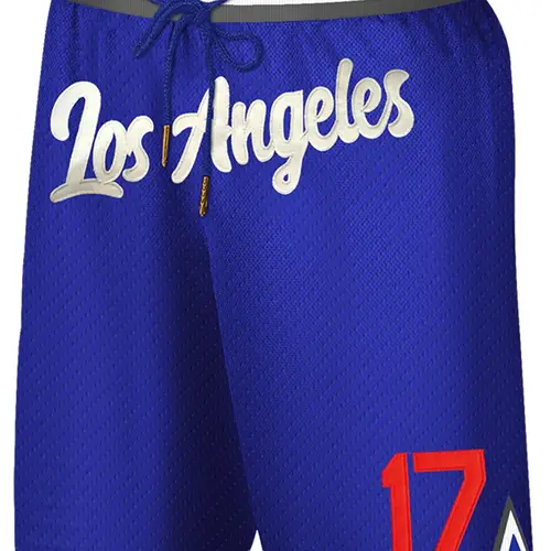 Men's Letter & Number Embroidery Zipper Straight Leg Basketball Shorts, Casual Breathable Quick Drying Drawstring Waist Shorts, Men's Bottoms for All Seasons, Jersey Shorts, Athletic Shorts, Active Shorts