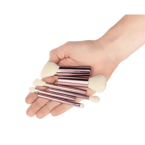 Jenny Patinkin Mini Travel Babies Makeup Brush Set - 6 Petite Face & Eye Brushes with Vegan Storage Case, Pink Soft Bristle Pocket-Size Portable Mini Travel Products Kit for Women, Pink Makeup Brushes Brush Sets & Kits