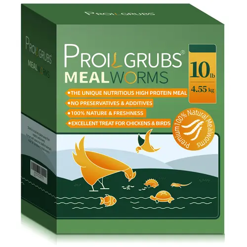 PROILGRUBS 10LBS Dried Mealworms High Protein Treats for Laying Hens, Wild Birds, Duck, Fish, Turtle & Reptiles Bulk Use Nutritious food for chickens,improve Eggs production #sohochic