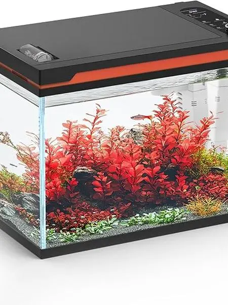 hygger 10 Gallon Smart Aquarium Starter Kit, Glass Fish Tank with Auto On/Off 24/7 Mode Light,Heater,Water Pump,Filter Media,Auto Feeder,Water Changer,Cleaning Gloves,Fish Net,Local Time/Timing Set(10 Gallon)