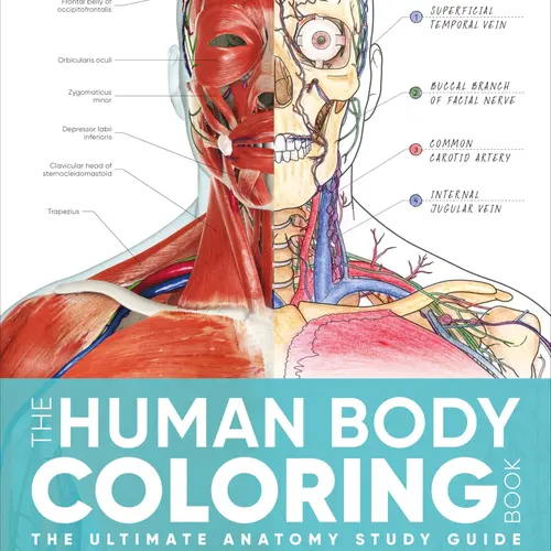The Human Body Coloring Book: The Ultimate Anatomy Study Guide, Second Edition -- DK - Paperback