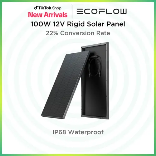 ECOFLOW 2PCS 100W 12V Solar Panels, High Efficiency Monocrystalline PV Modules, IP68 Waterproofing