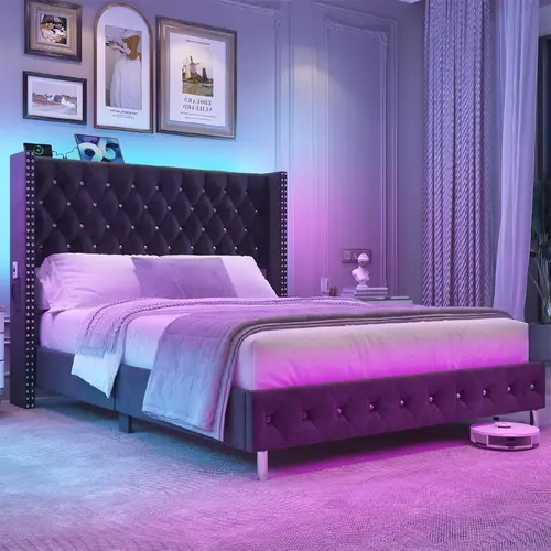 Queen LED Upholstered Bed Frame with Wingback Headboard, Velvet Diamond Button Tufted Bed Frame w/USB&Type-C Ports, Pocket and LED Lights, Wood Slats Support, No Box Spring Needed, Dark Grey/Cream