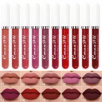 10 Pcs Matte Lipstick Cosmetic Long Lasting Waterproof Lip Glaze Nonstick Easy To Apply Long Lasting Lipgloss Suitable For Beginners Beauty Makeup