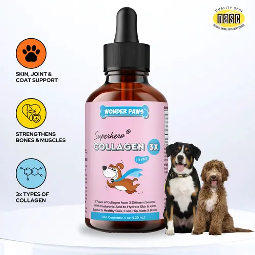 Collagen Drops – Advanced Skin, Coat & Joint Support