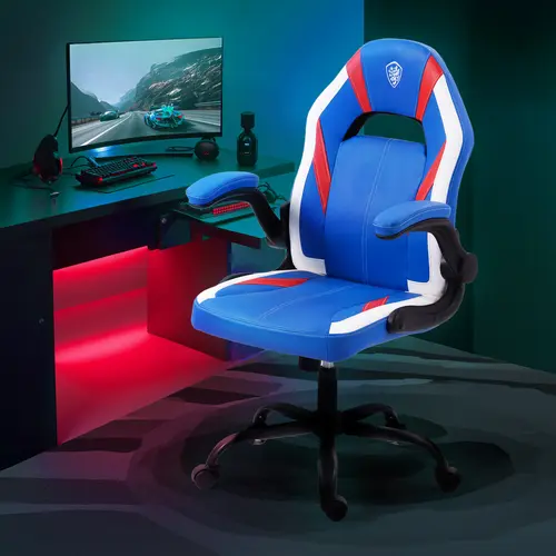 Dowinx Gaming Chair -  Ergonomic gaming chair with breathable PU leather and pocket spring cushion – 360° swivel adjustability, delivering ultimate comfort for intense gaming sessions, available in multiple colors