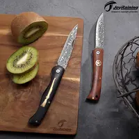 Joyraining LuckyStar Damascus Pocket Knife - 67-Layer VG10 Damascus Steel Blade, Rosewood Handle with Copper Star Inlay, Non-Locking Slip Joint Folding Knife, Lightweight EDC Gear for Men Adults, Fishing Collectible Gift