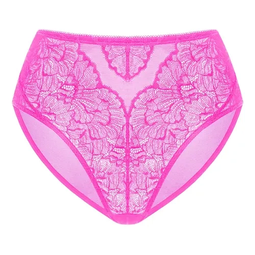 HSIA Blossom Comfortable Mesh Soft Sexy Lace Panty Women Underwear High-Rise Brief