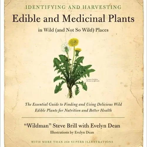 Identifying and Harvesting Edible and Medicinal Plants by Steve Brill||Evelyn Dean [Paperback Book]