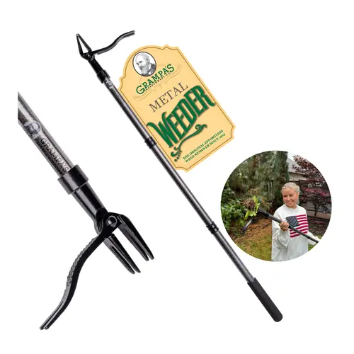 Grampa's Metal Weeder - Stand Up Weed Puller Tool with Steel Long Handle - Made with All Steel Handle & 4-Claw Steel Head - 3 Piece Twist To Assemble Design - Easily Remove Weeds Without Bending, Pulling, or Kneeling