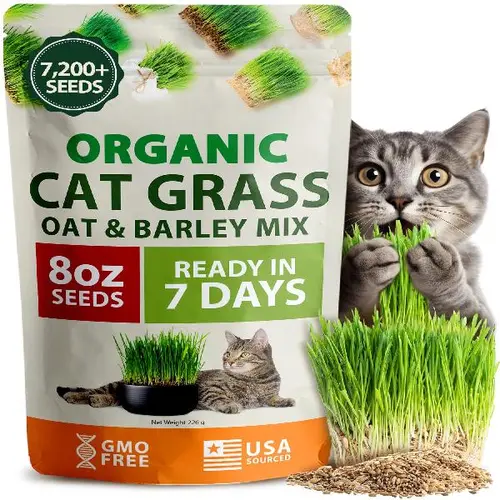 Home Grown Premium Quality Non-GMO Cat Grass Seeds for Indoor Cats - Natural Oat & Barley Mix, High Germination, Easy Indoor Growing, Aids Digestion & Hairball Relief, Provides Vitamins and Minerals