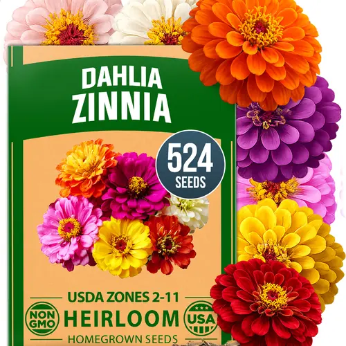 Bulk Zinnia Elegans Flower Seeds Pack - 524 Easy-to-Grow Double, Cut-Flower Ready Seeds for Pollinator-Friendly Outdoor Gardens, Borders (Home Improvement Garden Supplies)