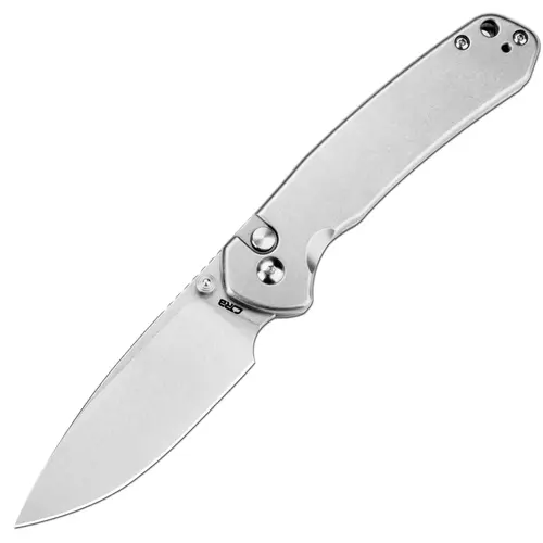 CJRB Pyrite EDC Folding Pocket Knife - AR-RPM9 Steel Blade, Stainless Steel Handle - Everyday Carry, Camping Tool, Father's Day Gift, Ar-Rpm9 Blade