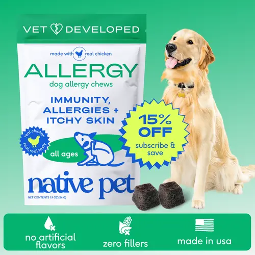 Native Pet Dog Allergy Chews - Vet-Developed Dog Allergy Relief with Probiotics and Colostrum for Itchy Skin Relief to Support Seasonal Allergy and Healthy Immune System - All Natural Anti-Histamine