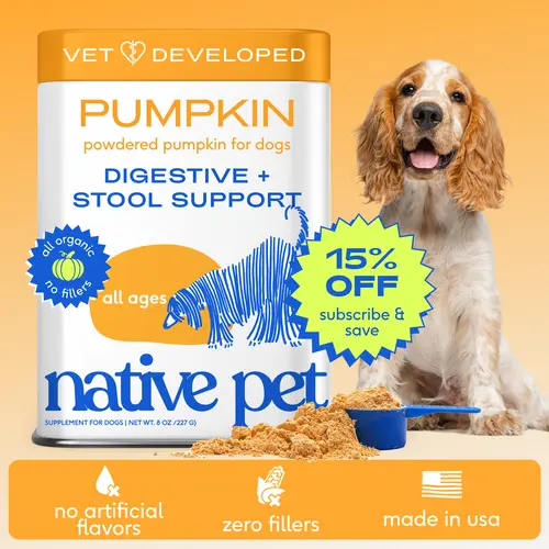 Native Pet Pumpkin Powder for Dogs - Vet Developed Digestive & Stool Support Rich in Fiber Supplement Powder Puppy