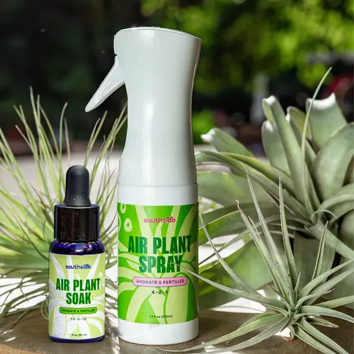 Southside Plants Air Plant Fertilizing Spray and Soak 7.3 oz - Gentle Mist Formula for Miracle Feed & Grow - Organic Formula for Houseplants