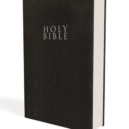 NIV, Gift and Award Bible, Leather-Look, Red Letter Edition, Comfort Print