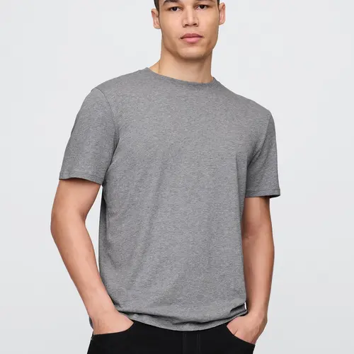 Gap Men's Jersey Crewneck T-Shirt