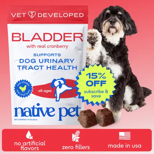 Native Pet Dog UTI Treatment - Cranberry Supplement for Dogs Bladder Control & Kidney Support - Prevent Urinary Tract Infection and Urinary Incontinence - Made with Real Cranberry Extract Chews Probiotics