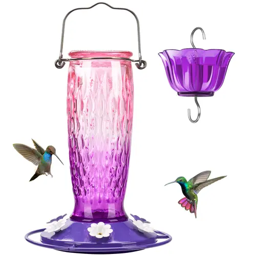 SummerVibes Glass Hummingbird Feeder 2026 - 24 oz, 6 Feeding Ports, Ant Moat, Screw-On Mouth Stops Leaks, Easy Refill Outdoor Hanging Bird Feeding Tool for Multiple Hummingbirds