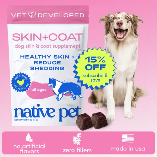 Native Pet Omega Skin and Coat Chews for Dogs - Dog Skin and Coat Supplement for Healthy, Shiny Fur, Reduce Shedding and Dry Spots - Made with Omega 3 Fish Oil and Wild-Caught Salmon Oil