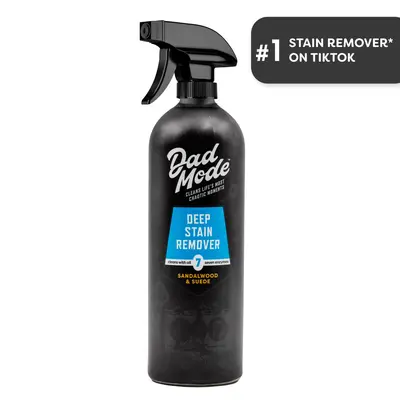 DadMode 7-Enzyme Stain Treater Spray - 16oz Household Odor Eliminator, Sandalwood & Suede Scented Anti-Stain Fluid, All-Purpose Home Cleaner Supply