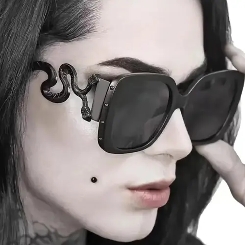 Punk Style Snake Design Glasses, Stylish Glasses, Vintage Gothic Eyewear for Everyday Use, Fashion Accessories for Outdoor Activities, Gothic Shades