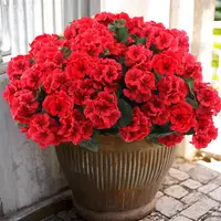8 bundles of outdoor artificial geraniums, artificial plant UV resistant plastic flowers, used for indoor, outdoor, courtyard, hanging flower pots, porch, window home decoration (8, red) summerwins