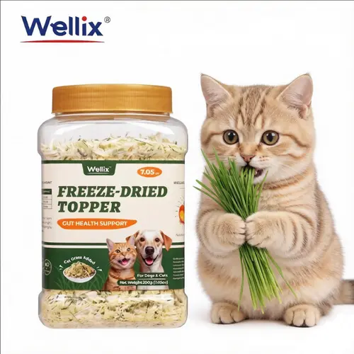 Wellix Dog&Cat Food Topper - Cat Grass Treats for Hairball Treament - Chicken Flavor Freeze Dried Cat Treats - Low Calorie Training Treats for Dogs&Cat 7.5oz,#sohochic