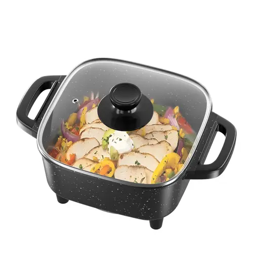 AORAN KITCHEN Large Capacity Non-Stick Electric Multi-Cook Pot - Cooker with Temperature Control, Integrated Cooking for Home Kitchen, Outdoor Camping, Frying Compatible