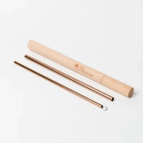 Live Conscious Reusable Straws Travel Set - Two 304 Stainless Steel Straws with Pipe Cleaner and Bamboo Case - Eco Friendly