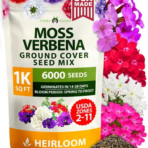 Home Grown Outdoor Ground Cover Heirloom Seed Packets - Hardy Bulk Seeds Mix with 6,000 Easy-to-Sow Moss Rose, Verbena, Aubrieta for Walkways, Erosion Control, Full Sun Low-Maintenance Grow-at-Home Flowers