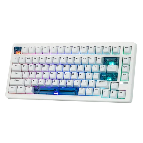 EPOMAKER HE80 Mechanical Gasket-Mounted Wired Keyboard - Low Latency, 8000 Polling Rate, 32000 Scan Rate, DKS, SOCD, Programmable South-Facing RGB Back Lit Keyboard, Hot-Swappable for FPS Gaming & Multi-Platform Use, Computer Desk Accessory, Mechanical Ga