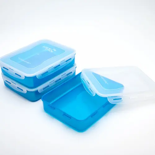 LocknLock Set of 3 Colored Body Rectangle Containers