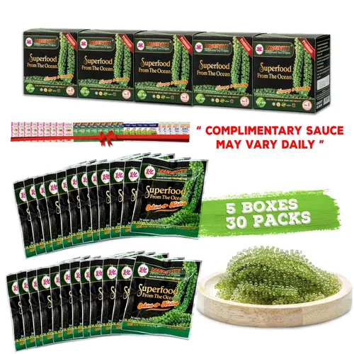 5 BOXES Longevity Dehydrated Sea Grapes - COMBO 5 BOXES 30 Packs Green Caviar Umibudo Latok Seaweed Organic Premium Quality Crunchy Flavor Superfood From The Ocean