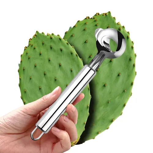 Stainless Steel Kitchen Utensils Tool Set - Rust-Resistant Cactus & Blush Pink Peelers, Multi-Functional Spoon-Shaped Vegetable Fruit Cutter with Sharp Blade for Better Control, Durable Kitchen Accessories for Noodle, Food Peeling & Home Meal Prep