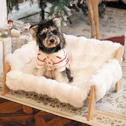 Raised Pet Sofa Bed for Indoor Cats & Small Dogs - Durable Solid Wood Frame, Fluffy Washable Cushion, Machine-Washable Modern Pet Furniture Lounge Chair