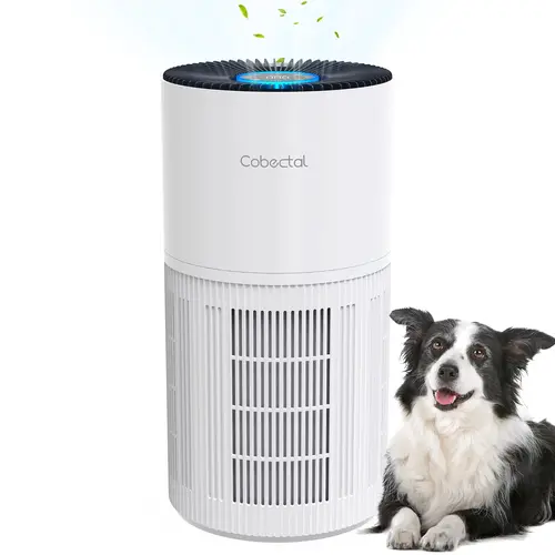 Cobectal 6000A 3-in-1 Air Purifier for Home Large Room - Timer, Air Quality Sensor, Smart Auto Mode, Quiet Sleep Mode, Aromatherapy, Lightweight, for Bedroom/Office, Pet Dander, Dust, Odor (Father's Day/Valentine's Day Gift Option)