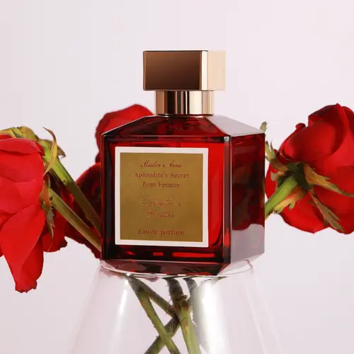 Women's Long-Lasting Fragrance, 25 ml Eau de Parfum Spray, Daily Perfume for Women, Perfect for Parties and Dates