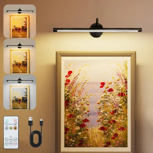 USB Rechargeable Wall Mounted Light, Dimmable Picture Light with Remote Control, Novelty Lighting for Wall Painting, Gallery Art, Painting, Portrait, Decorative Wall Lamp, Elegant Lighting, Dimmable Wall Sconce, Decorative Lights, Decoration Lamp