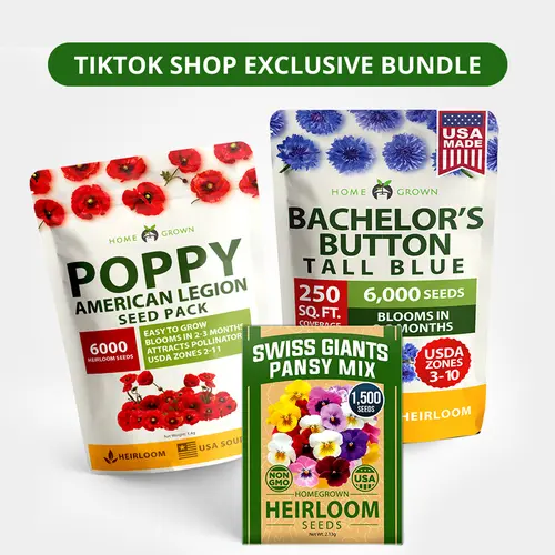 Home Grown Vibrant 3-Flower Blend Seed Bundle - Bachelor Button, Poppy, Pansy Swiss Giants Mix - Over 12,000 Seeds for Outdoor Gardens to Grow Bundle Flowers