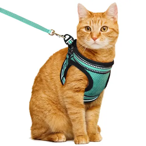Cat Harness and Leash Set Bundle - Kitten Print Polyester Safety Harnesses, Velcro & Buckle Double Protection, Large-Area Design, Reflective Adjustable Soft-Padded Outdoor Walking Lead, Enhances Visibility (Collars & Leads for Cats)